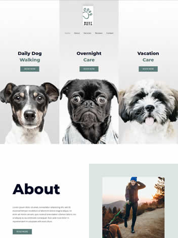 Ware Web Design Dog Walker business Website Design